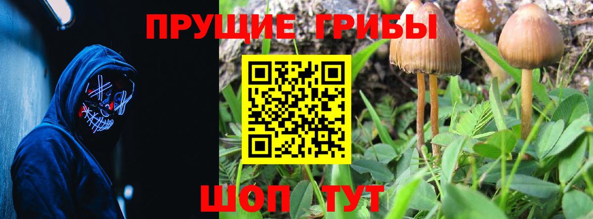 Галлюциногенные грибы прущие грибы  Вход с VPN  Грозный 