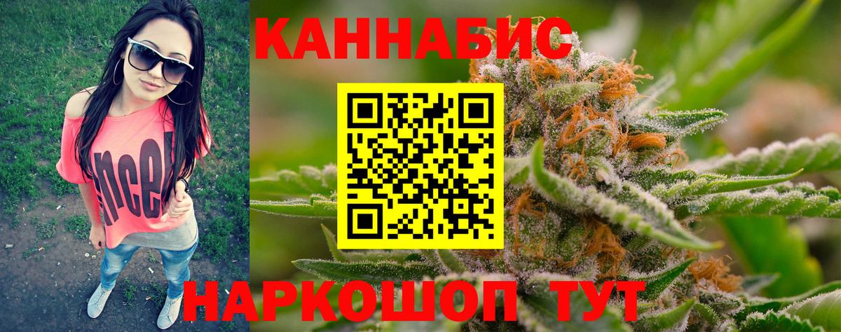 Каннабис SATIVA & INDICA Грозный